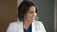 Monica Beltran in Grey’s Anatomy (Image via Fandom)